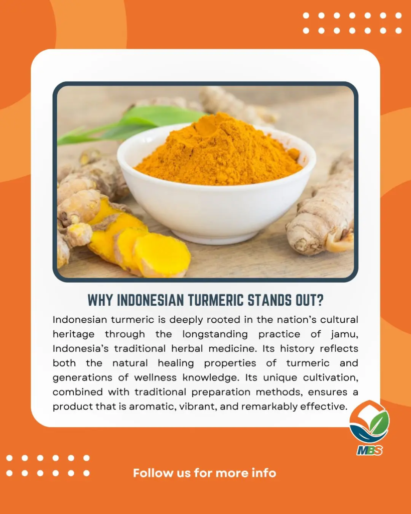 Why indonesian turmeric stands out