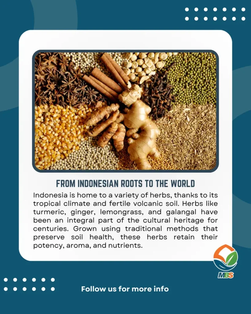 From indonesian roots to the world