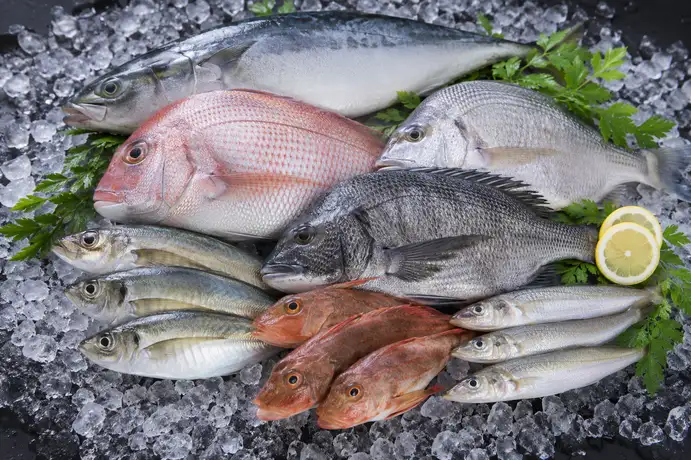 Fishes